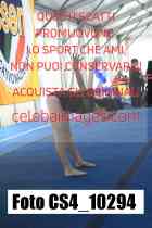 CS4_10294-