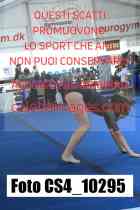 CS4_10295-