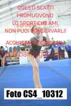 CS4_10312-