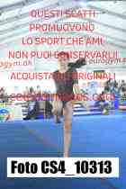 CS4_10313-