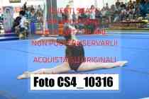 CS4_10316-