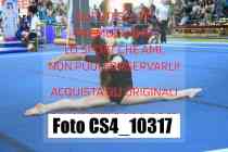 CS4_10317-