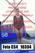 CS4_10394-