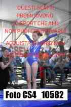 CS4_10582-
