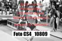 CS4_10809-