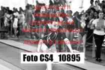CS4_10895-