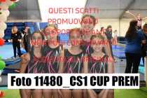 11480_CS1-CUP-PREM