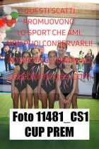 11481_CS1-CUP-PREM