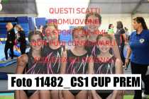 11482_CS1-CUP-PREM