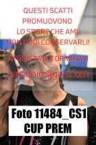 11484_CS1-CUP-PREM