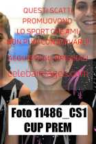 11486_CS1-CUP-PREM
