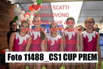 11488_CS1-CUP-PREM