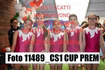 11489_CS1-CUP-PREM
