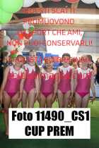 11490_CS1-CUP-PREM