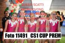 11491_CS1-CUP-PREM