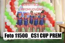 11500_CS1-CUP-PREM