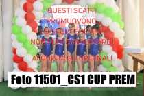 11501_CS1-CUP-PREM