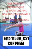 11509_CS1-CUP-PREM