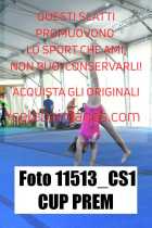 11513_CS1-CUP-PREM