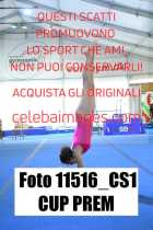 11516_CS1-CUP-PREM