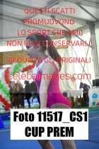 11517_CS1-CUP-PREM