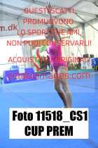 11518_CS1-CUP-PREM