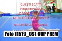 11519_CS1-CUP-PREM