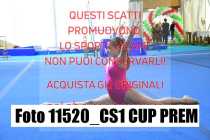 11520_CS1-CUP-PREM