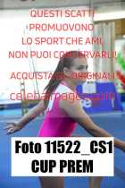 11522_CS1-CUP-PREM