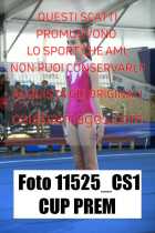 11525_CS1-CUP-PREM