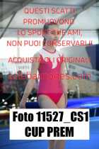 11527_CS1-CUP-PREM
