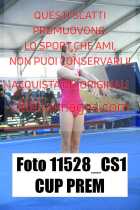 11528_CS1-CUP-PREM