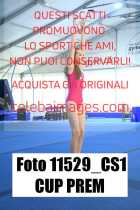 11529_CS1-CUP-PREM