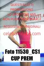 11530_CS1-CUP-PREM