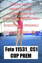11531_CS1-CUP-PREM