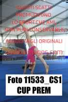 11533_CS1-CUP-PREM
