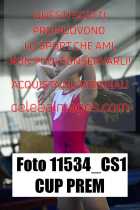 11534_CS1-CUP-PREM
