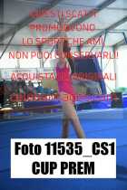 11535_CS1-CUP-PREM