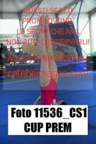 11536_CS1-CUP-PREM