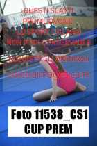 11538_CS1-CUP-PREM