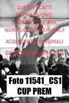 11541_CS1-CUP-PREM