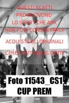 11543_CS1-CUP-PREM