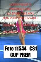 11544_CS1-CUP-PREM