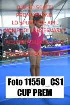 11550_CS1-CUP-PREM
