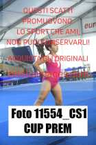 11554_CS1-CUP-PREM