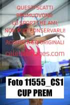 11555_CS1-CUP-PREM