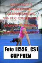 11556_CS1-CUP-PREM