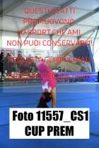 11557_CS1-CUP-PREM