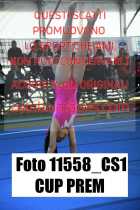 11558_CS1-CUP-PREM