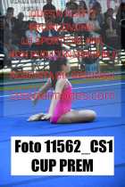 11562_CS1-CUP-PREM